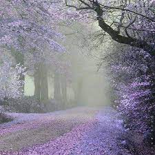 Share nice shayari in hindi to everyonein the social group. Whatsapp Dp Whatsapp Dp Followus Coolwhatsappstatus Beautiful Landscapes Beautiful Nature Nature