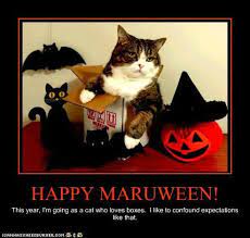Pin On Happy Halloween