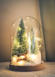 Christmas Terrarium Kit Glass Dome With Fairy Lights Etsy Christmas Lights Winter Wonderland Decorations Decorating With Christmas Lights