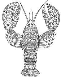 At temperatures below five degrees, the lobster no longer looks for food! Lobster Zentangle Coloring Page By Pamela Kennedy Tpt