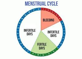 what are your most fertile days fertility fertility day