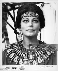 228 Ava Fox Stock Photos, High-Res Pictures, and Images