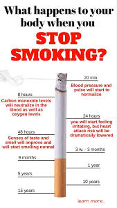 Pin On Bargainsrus Health Diet And Weight Loss