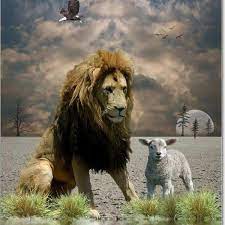 Maybe you would like to learn more about one of these? The Gran On Twitter Lion And Lamb Lion Of Judah Animals