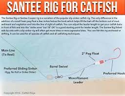 We did not find results for: How To Fish Whisker Seeker Rattler Catfish Rigs Plus Catfish And Sound