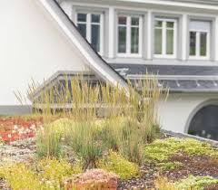 Pflegeleichte Dachbegrunung Bauwerksbegrunung Dachbegrunung Gartengestaltung Inspiration Begrunung Haas Ausfreudea Privatgarten Gartengestaltung Galabau