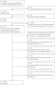 Flow Chart Of The Selection Of Study Participants And