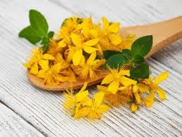 We did not find results for: Laurier Laurus Nobilis Proprietes Bienfaits De Cette Plante En Phytotherapie Doctissimo