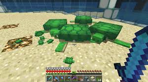 A turtle egga is a block that hatches one or more baby turtles. Baby Turtles Minecraft Ilmu Pengetahuan 5