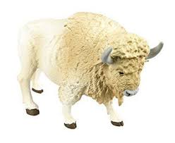 Safari 180929 Weisser Buffel Schleichtiere Safari Tiere