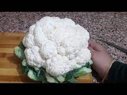 Abeego offers more time and opportunity to devour the healthy & nutritious cauliflower we love, so it ends up in our bellies rather than the compost. How To Store Cauliflower Cauliflower Storage Youtube