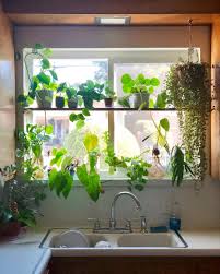 plant shelves, kitchen window