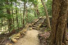 Hiking Series - Brecksville Reservation