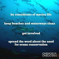 Because humans want to save things that they love. One World One Ocean On Twitter Ocean Conservation Ocean Day Ocean