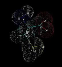 Answered: . A Protein Has Been Sequenced After… | Bartleby