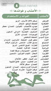 Pin By S On Saudi Panther Health Fitness Food Health Facts Fitness Health And Wellness Center