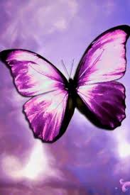 Black And Purple Butterfly Wallpaper 3d Digital Art Butterflies Dragonflies Green Butterfly Wallpaper Black Butterfly Wallpaper Fre Butterfly Wallpaper Purple Butterfly Purple Butterfly Tattoo