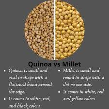 They are therefore an ideal meal for people with type ii diabetes. Millet Vs Quinoa Differences Health Values Substitutes Kitchen Lily