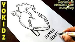 Check spelling or type a new query. How To Draw Human Heart In Easy Way Youtube