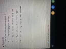 We did not find results for: How Do Animals Get Energy From Food Brainly