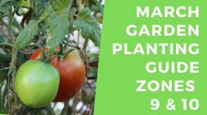 Sarah elizabeth™ is a new clematis from raymond evison. March Planting Guide Zones 9 10 What Can You Plant In Your Garden In March Youtube