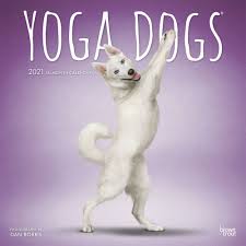 Discover the best dog calendars in best sellers. Yoga Dogs Wall Calendar Calendars Com