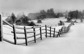 Black And White Scenery Wallpaper Czarny Biala Zimowa Scena Wektor Forwallpaper Com Winter Scenes Winter Scenery Winter Wallpaper