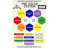 Friendly Dog Collars Color Coded Awareness System Available In A Range Of Collars Leads Harnesses And Coats Www Friendly Dog Friends Blind Dog Dog Feeding