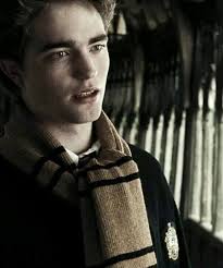 Amor Eterno. ( Cedric Diggory X Oc.)