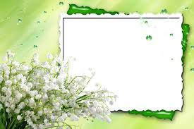 Lilies Of The Valley Frames La Multi Ani Florii Transparent Cartoon Jing Fm
