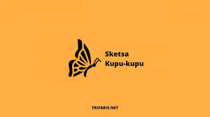 Bentuknya sangat mudah untuk dibuat sketsa meskipun ada beberapa yang bentuk sayapnya rumit. 17 Sketsa Kupu Kupu Terbaik Terlengkap Cara Menggambar