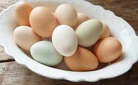 Cacapan bawang goreng hitalu mata sapi (telur ayam omega). Telur Ayam Ini Bisa Jadi Obat Kanker Okezone Com Line Today