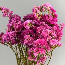 Bouquets, posies, boutonnieres & headdresses. Statice Pink Bunch Approx 75cm Tall Natural Dried Flowers