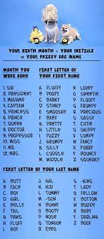 Best overall strong and powerful creative and clever cute and sweet big dog small dog unusual weird. Dog Names Beginning With B Female