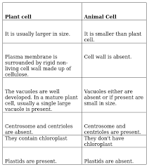 The latest good news from cinemacon 2021 What Is Difference Between Plant Cell And Animal Cell Class 9
