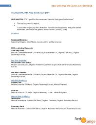 Pharmaceutical manufacturing business plan pdf sample since time immemorial, man has always placed a premium on his health and well being. Skin Care Marketing Plan Sample