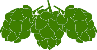 Download Hops Cones Green Free Vector Graphic On Pixabay