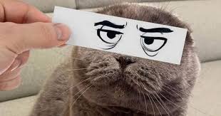 Who is the artist who makes animal drawings? I Can Has Cheezburger Drawing Funny Animals Online Cheezburger