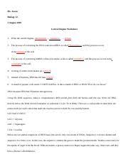 Dna mutation of a gene can affect the regulation or makeup of proteins that control gene activities in a variety of ways. Investigation Dna Proteins And Mutations Docx Name Investigation Dna Proteins And Mutations Below Are Two Partial Sequences Of Dna Bases Shown For Course Hero