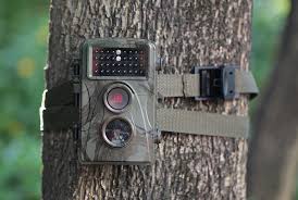 Creativexp 4g cellular trail camera is one of the most highly rated game cameras on the market. Top 5 Best Trail Cameras That Send Pictures To Your Phone Reviews In 2021 Fontanel