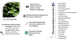 Image result for Coccinia grandis