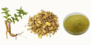 100% Natual Baikal Skullcap Root Extract 85% 90% Baicalin - Baicalin,  Scutellaria Baicalensis Extract | Made-in-China.com
