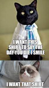 These are hilarious memes that u have to watch! A Grumpy Shirt Grumpy Cat Humor Grumpy Cat Meme Really Funny Memes