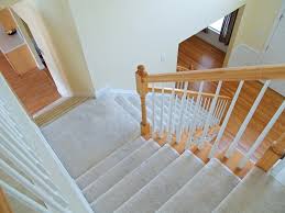 So, the benefits of getting the best carpet for stairs and pets are: What Is The Best Type Of Carpet For Stairs Chantilly Va Blog