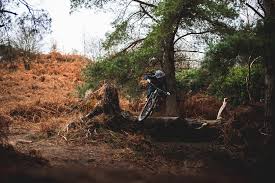 2019 Specialized Mountain Bike Guide