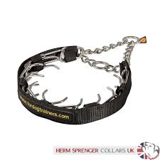 Many dog owners are told that prong collars are inhumane and should never be used under any circumstances. Stainless Steel Dog Pinch Collar 4mm Prong Collar 45 01