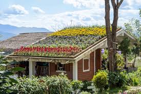 Gardening tools and spring flowers on the terrace. 33 Best Rooftop Garden Ideas Urban Gardens 2021 Own The Yard