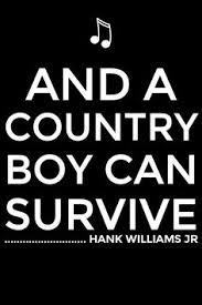 I was (d) gambling (a) in hav(e)annah i (d) took a (a) little (e) risk. Hank Jr Aka Bocephus