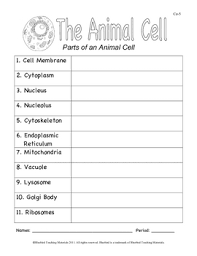 Check spelling or type a new query. Animal Cell Model And Quiz Ce 5 By Bluebird Teaching Materials Tpt