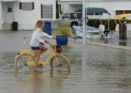 Jerry Lower, Author at The Invading Sea